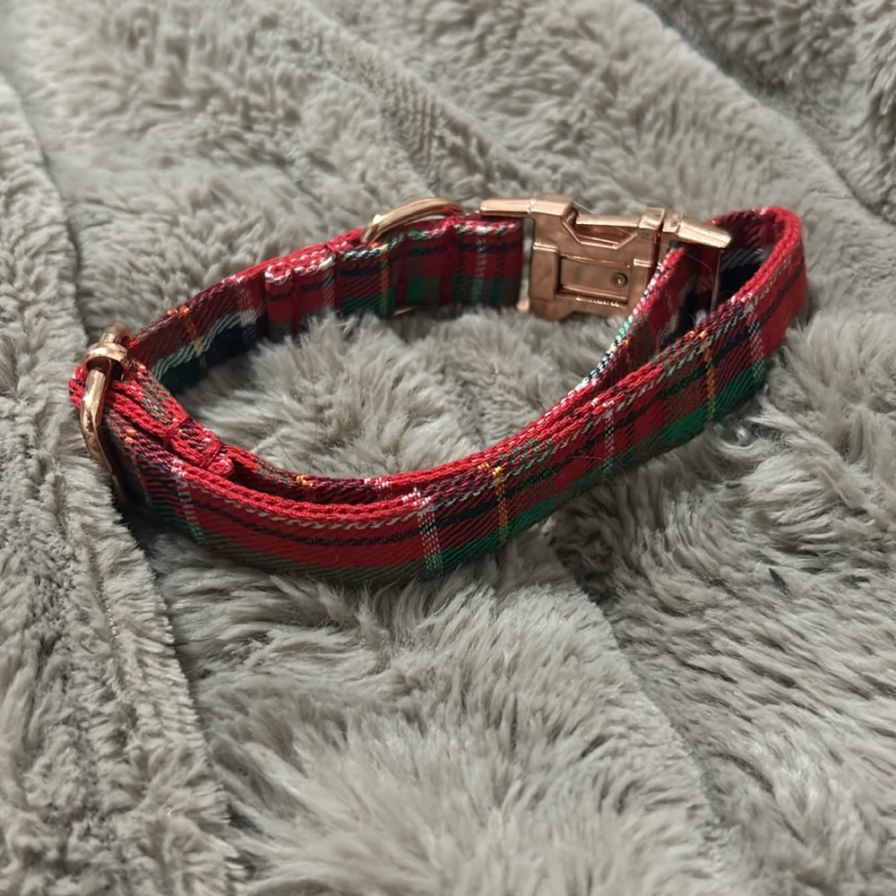 NWOT Christmas Rose Fold Dog Collar S/M